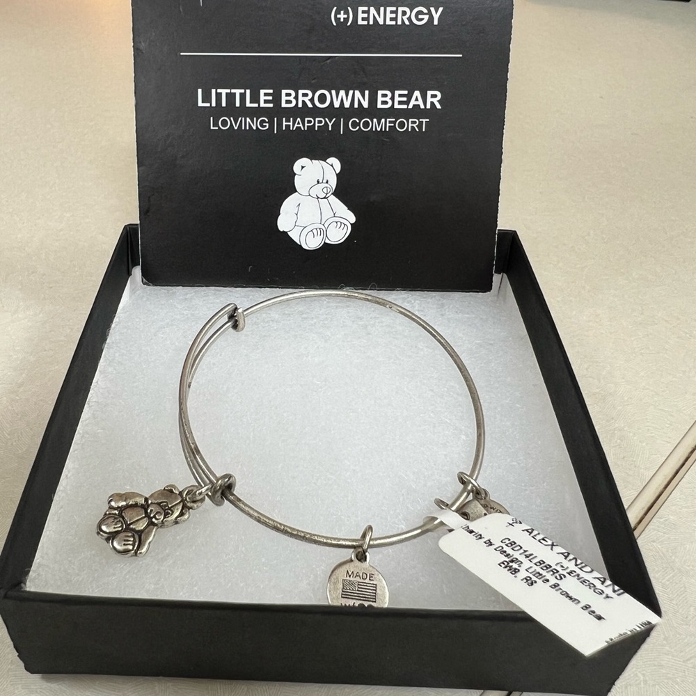 Alex and Ani Silver Charm Bracelet
